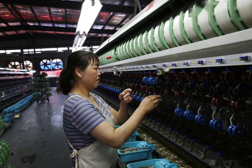 陜西石泉萬(wàn)余農(nóng)戶養(yǎng)蠶,繅絲廠收繭繅絲織綢制衣,一片繁忙景象