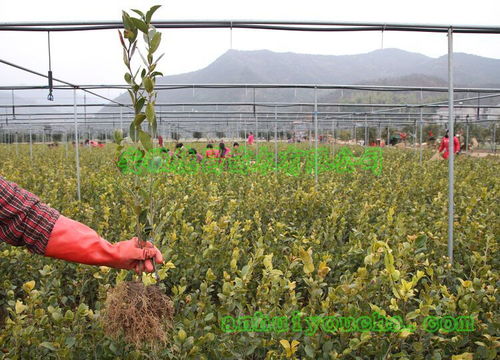 價(jià)格 廠家 中國(guó)供應(yīng)商